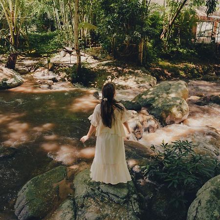 เดอะริเวอร์ แม่กำปอง The River Maekampong Chiang Mai Ban Pok Nai エクステリア 写真