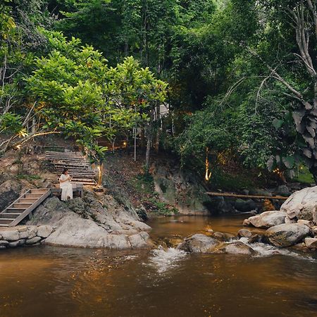 เดอะริเวอร์ แม่กำปอง The River Maekampong Chiang Mai Ban Pok Nai エクステリア 写真